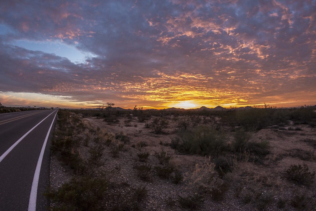 10 Things To Do In Phoenix With Kids