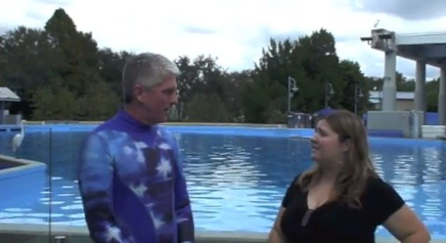Video: Dine With Shamu At SeaWorld