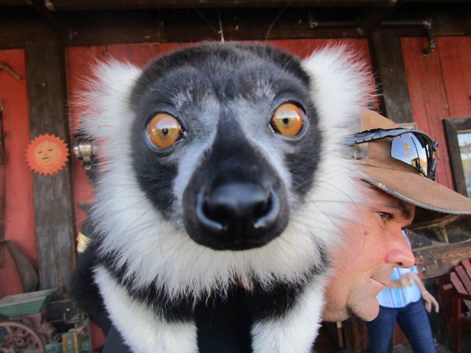 Zoo To You: California Wildlife Refuge