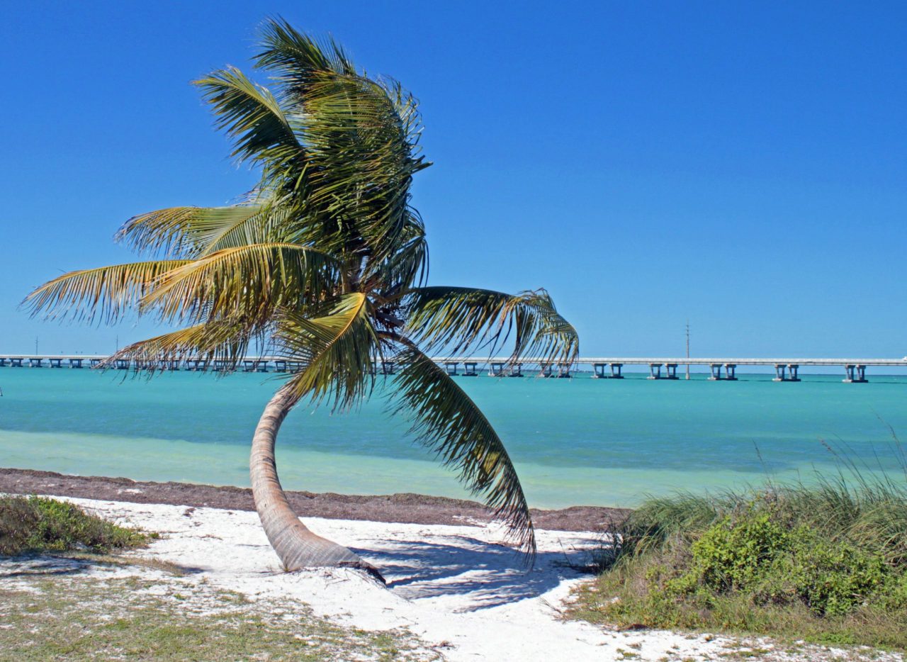 Key West Street Stands: The Conch Shack
