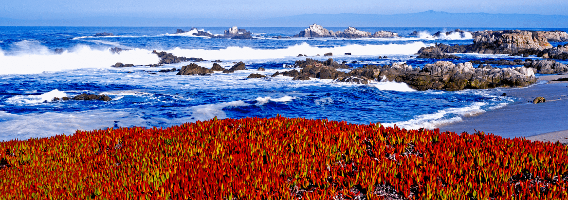 Monterey Plaza Hotel and Spa