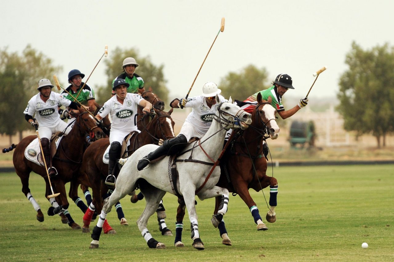Sport of Kings: Polo in Newport, Rhode Island