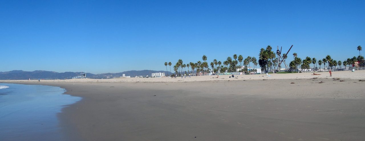 Venice Beach In A Day
