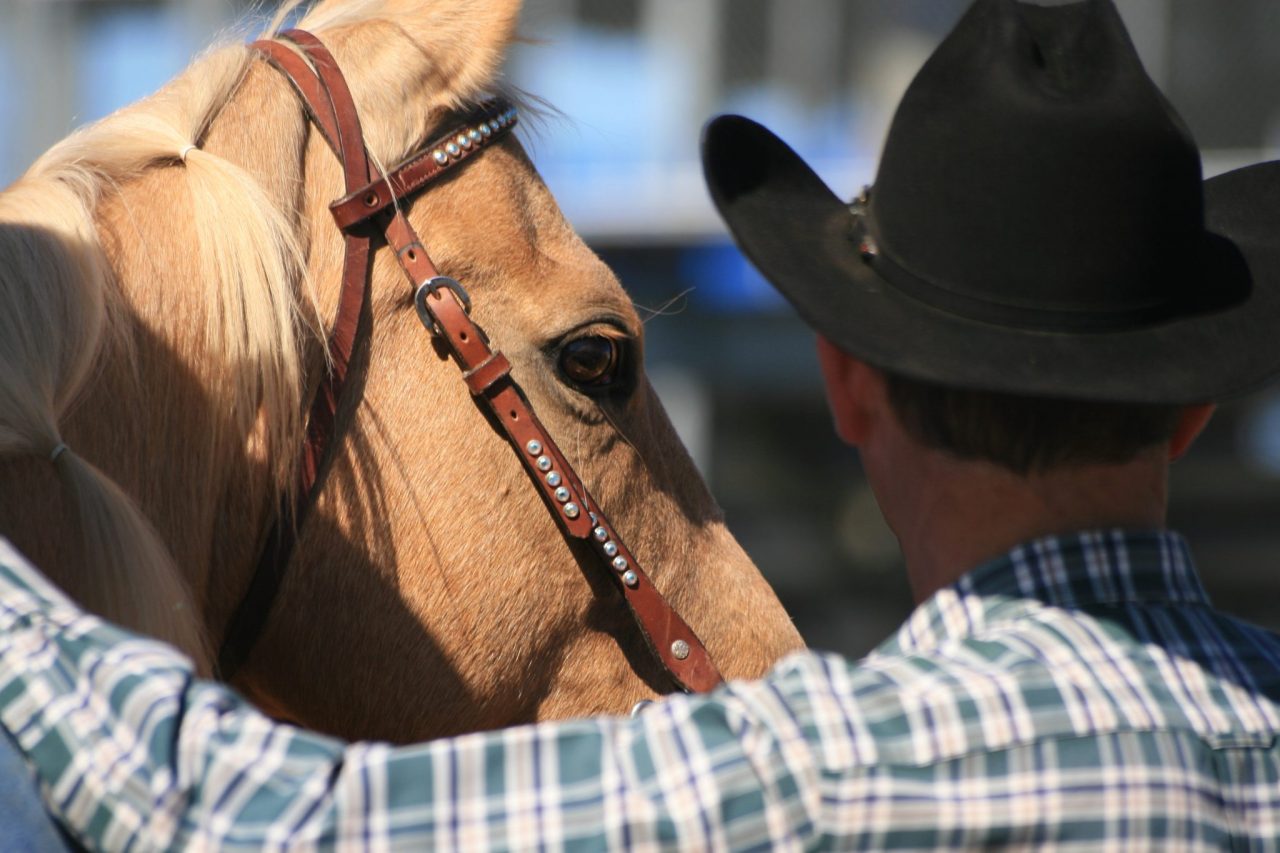 Cheyenne Frontier Days