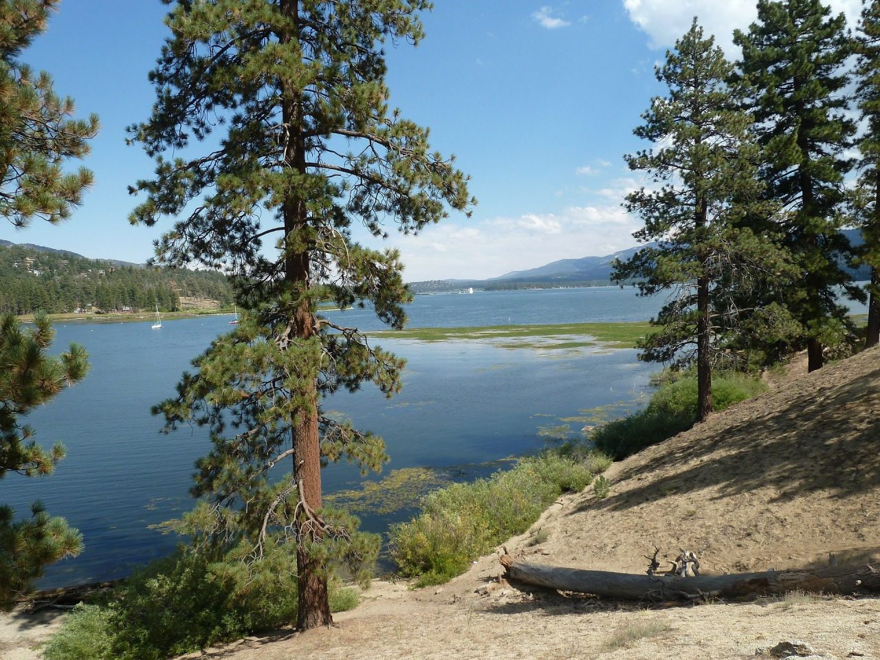 Big Bear Lake: Activities And Adventures For Kids