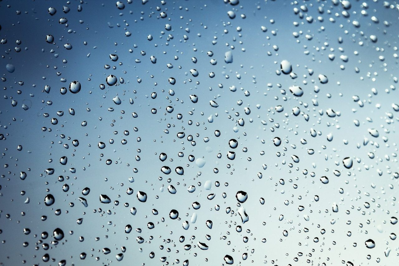 4 Must Haves For Rain Preparation in Florida
