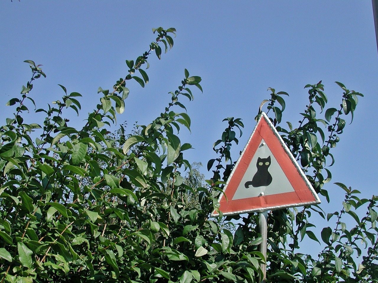3 Funny Road Signs