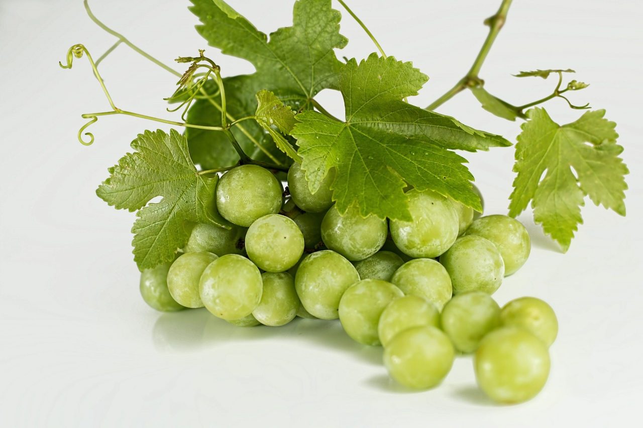 No-Fuss Healthy Snacks For The Road