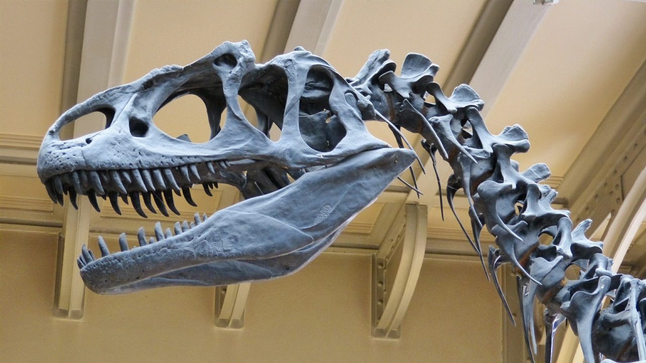 Best History Museums In The U.S.A.