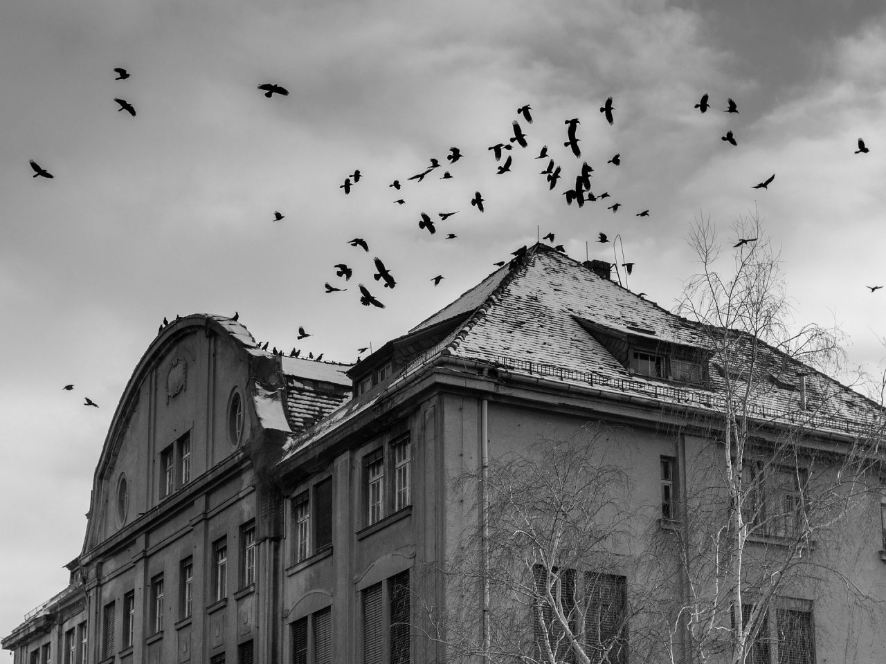 Spooky Halloween Destinations