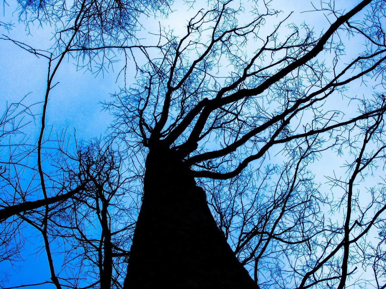 6 Hair-Raising Haunted Halloween Attractions