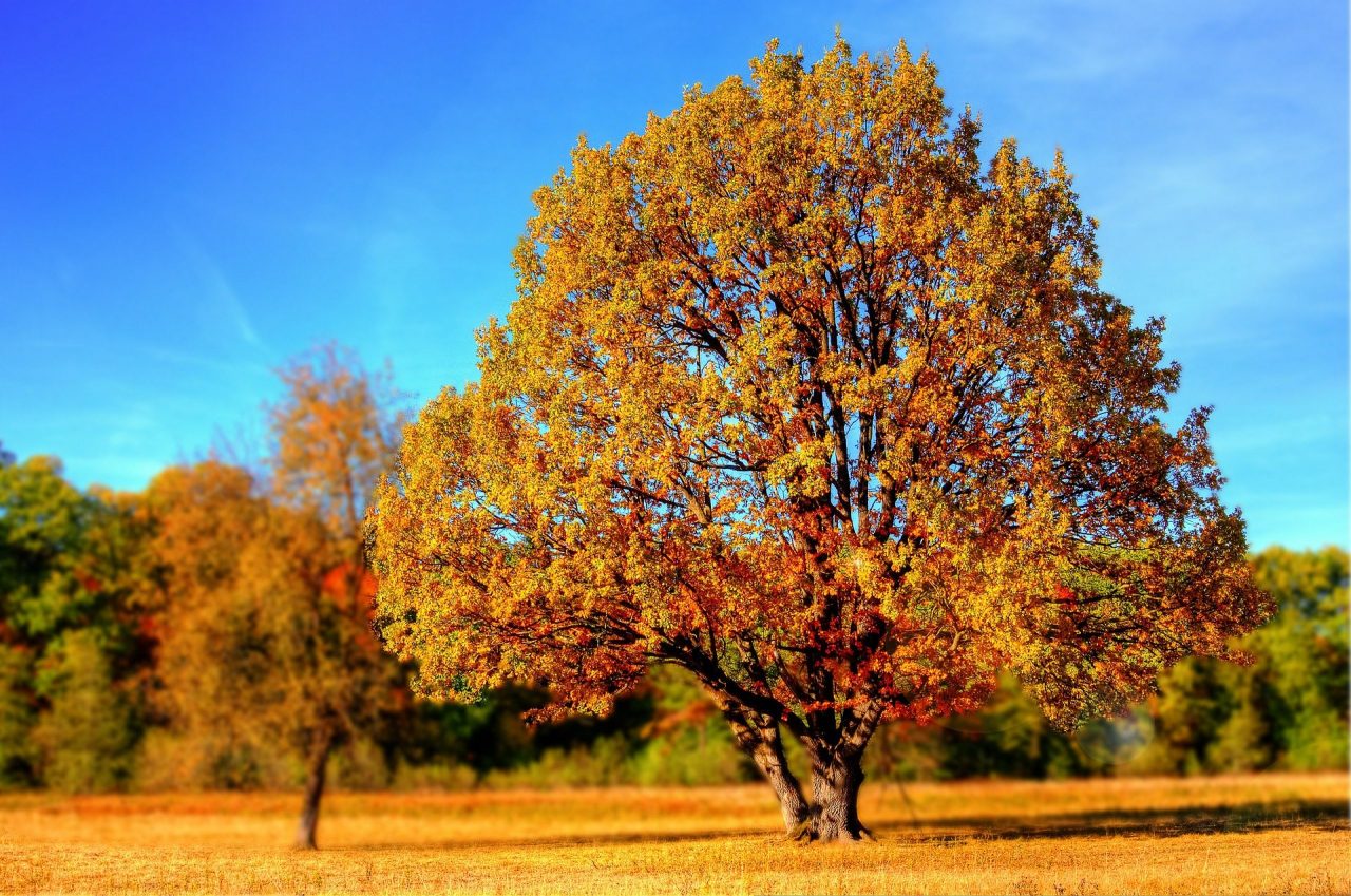 Best Places To Go This Fall