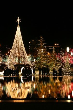Tis the Season: The Nation’s Best Neighborhood Light Displays