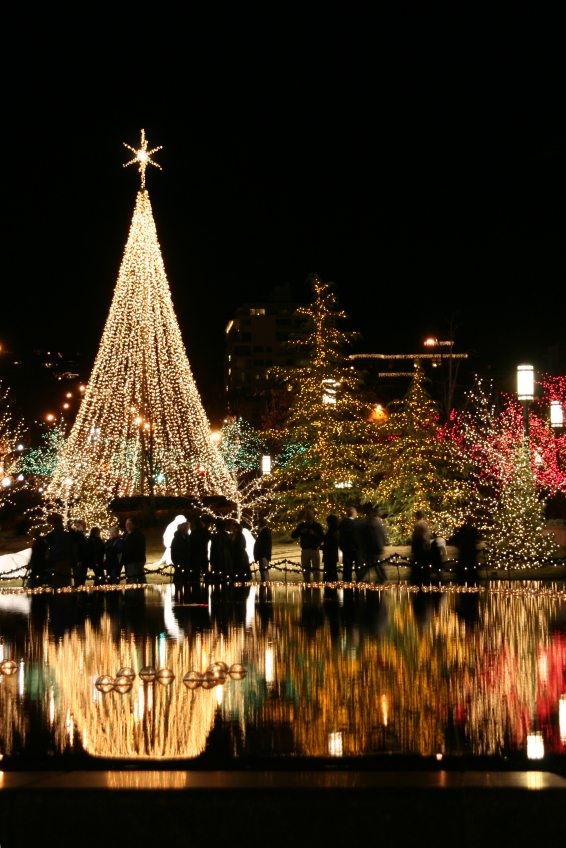 Holiday Zoo Lights Roundup
