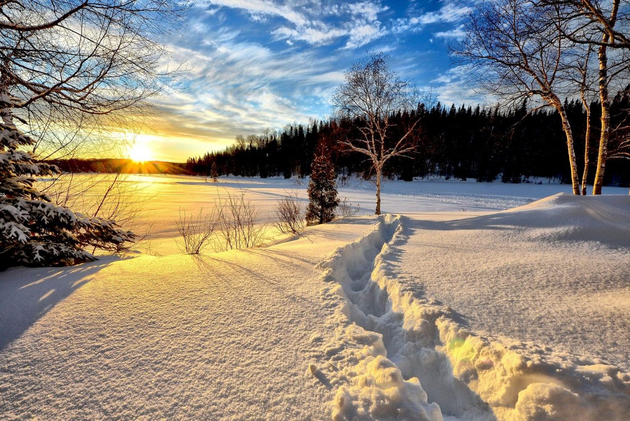 Winter Festivals