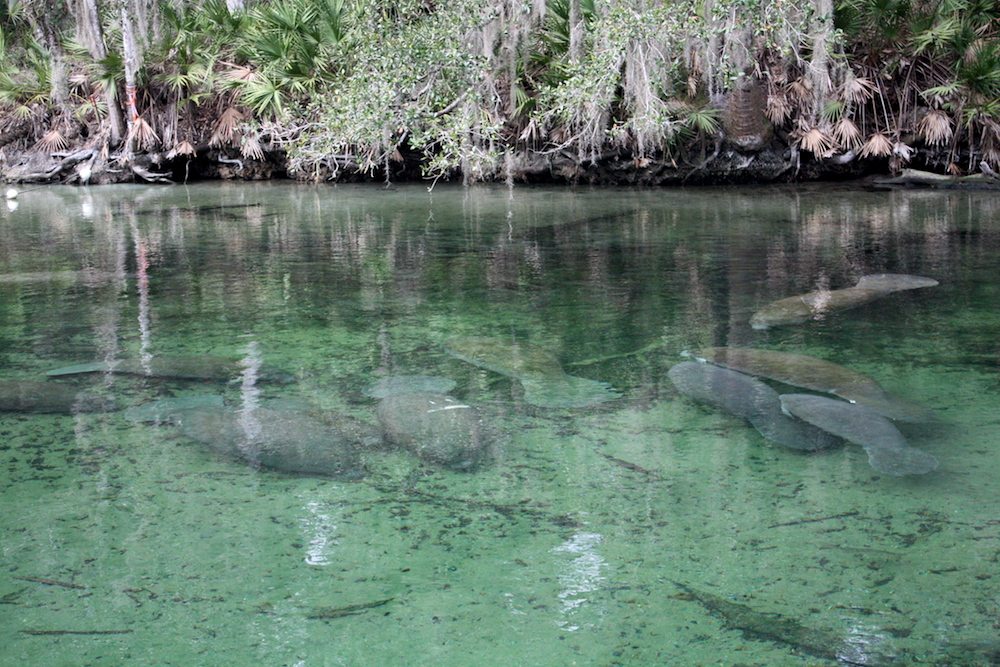 Top 10 Natural Springs to Visit