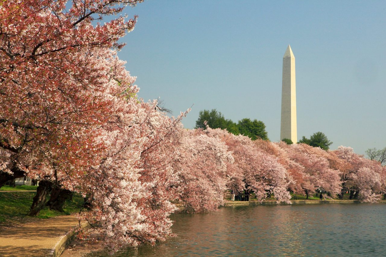 5 Most Kid-Friendly Cities in the U.S.