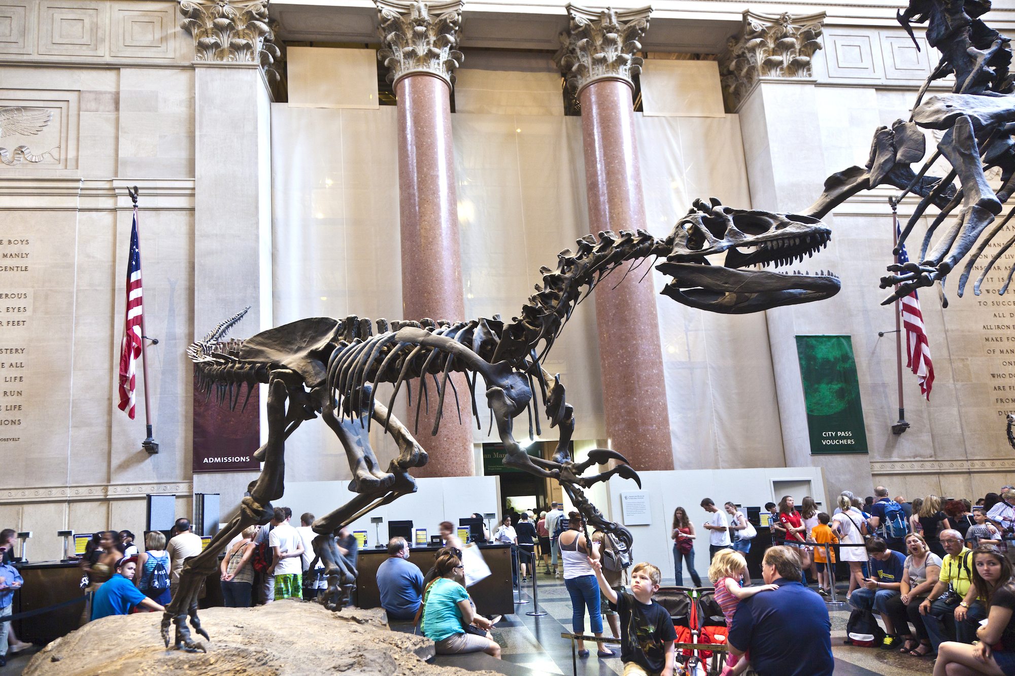 4 Amazing Things to Do the Next Time You Visit New York City