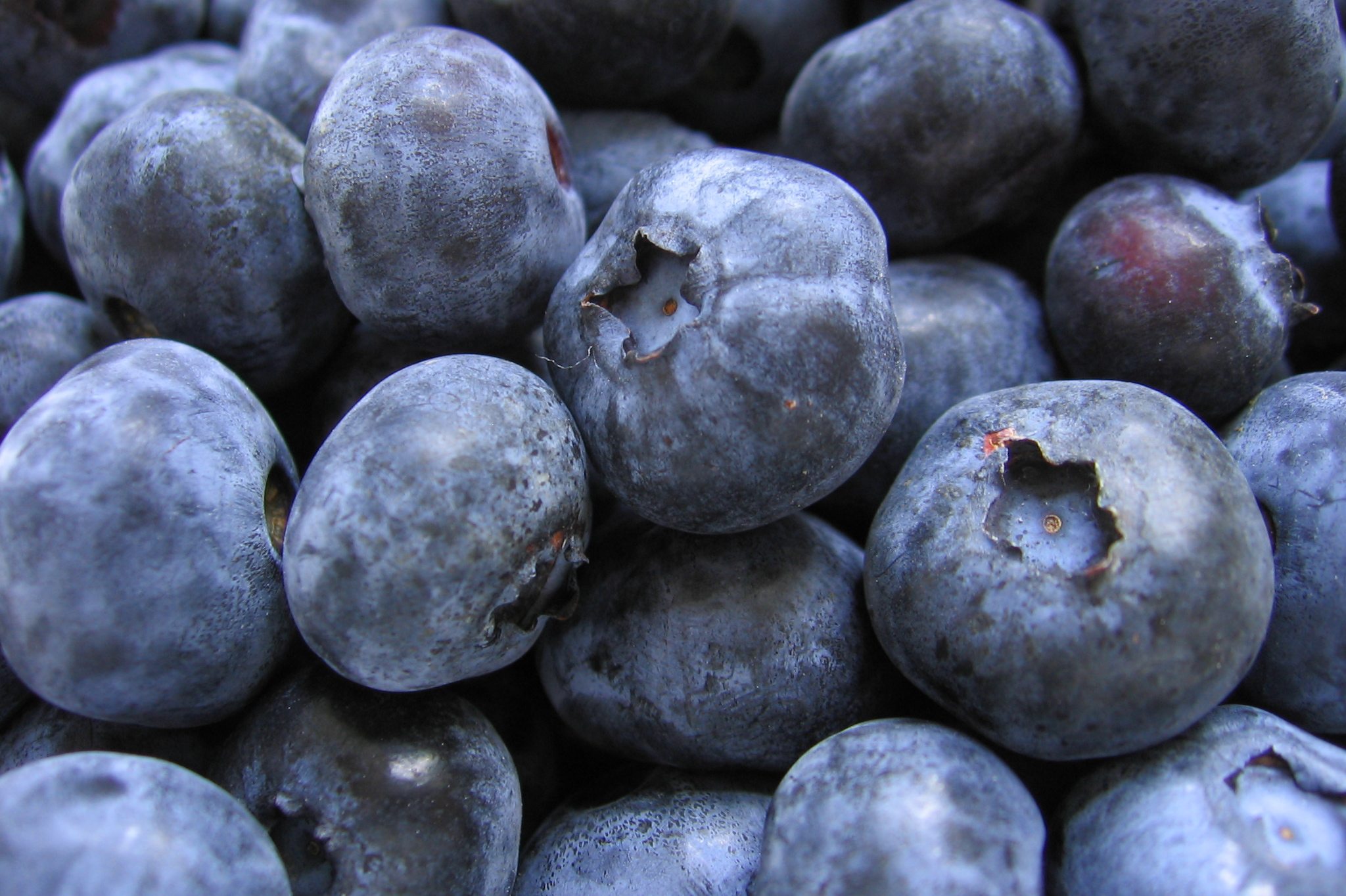 Best Restaurants for Blueberry Pancakes