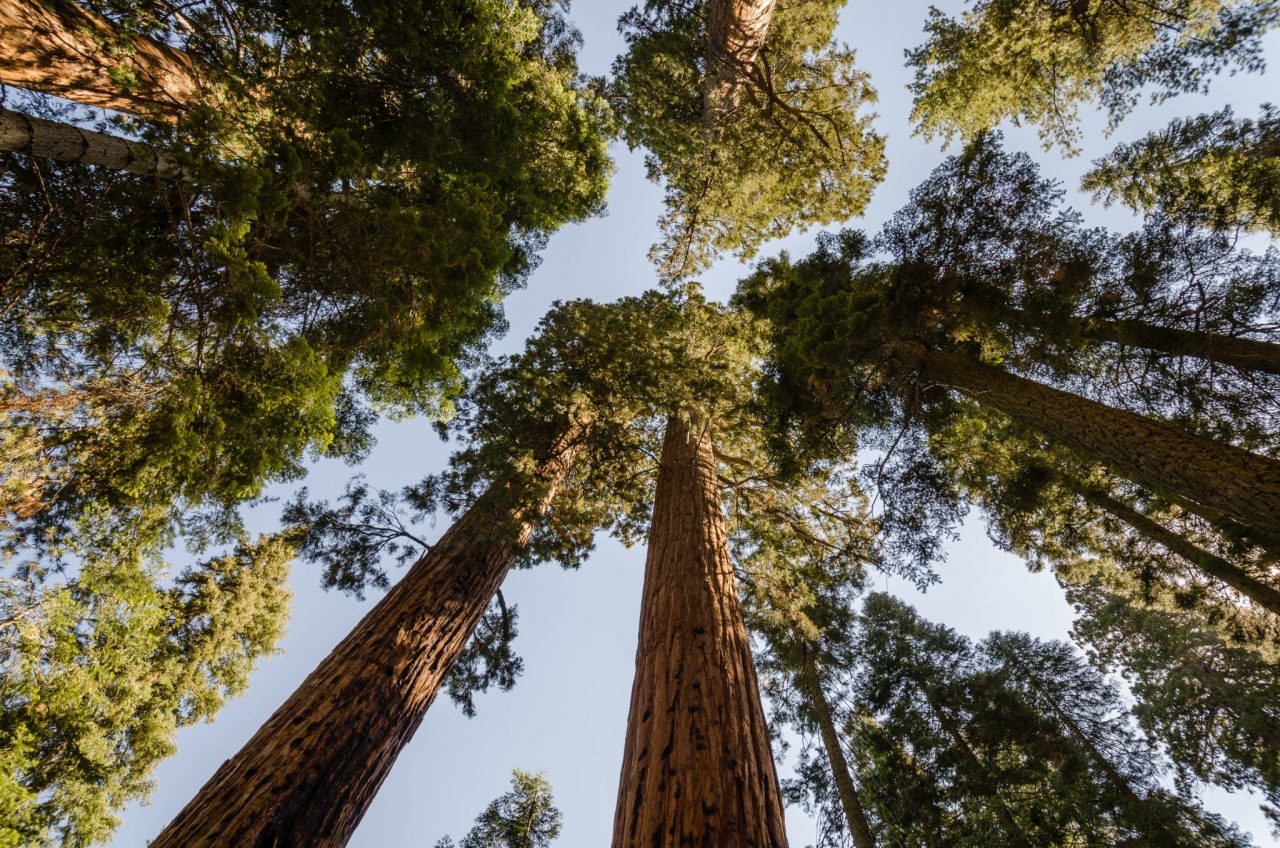 The Perfect Weekend Getaway: Visalia, CA
