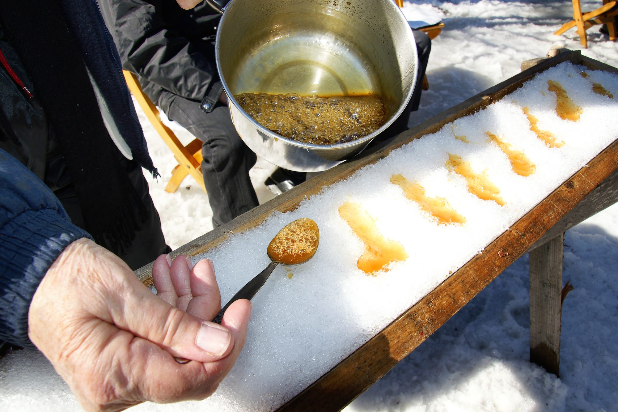 Best Maple Syrup Destinations