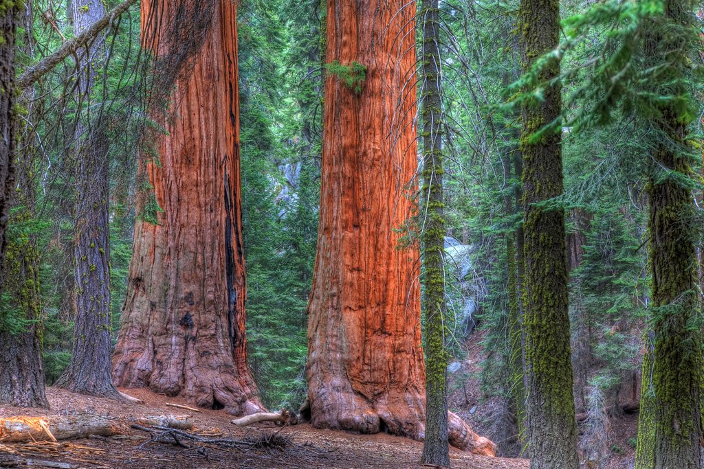 Drive Scenic California Route 6