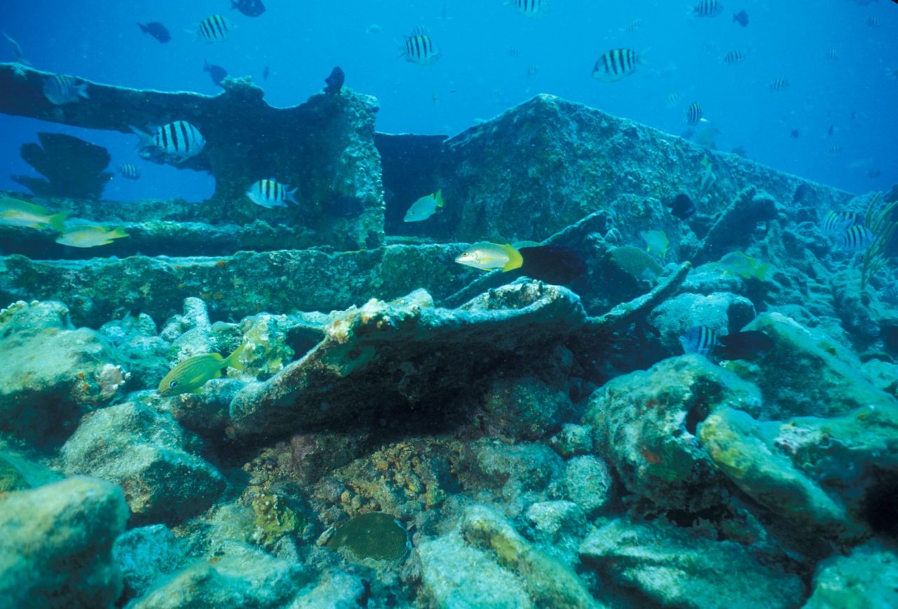 Visit Florida National Parks for Free