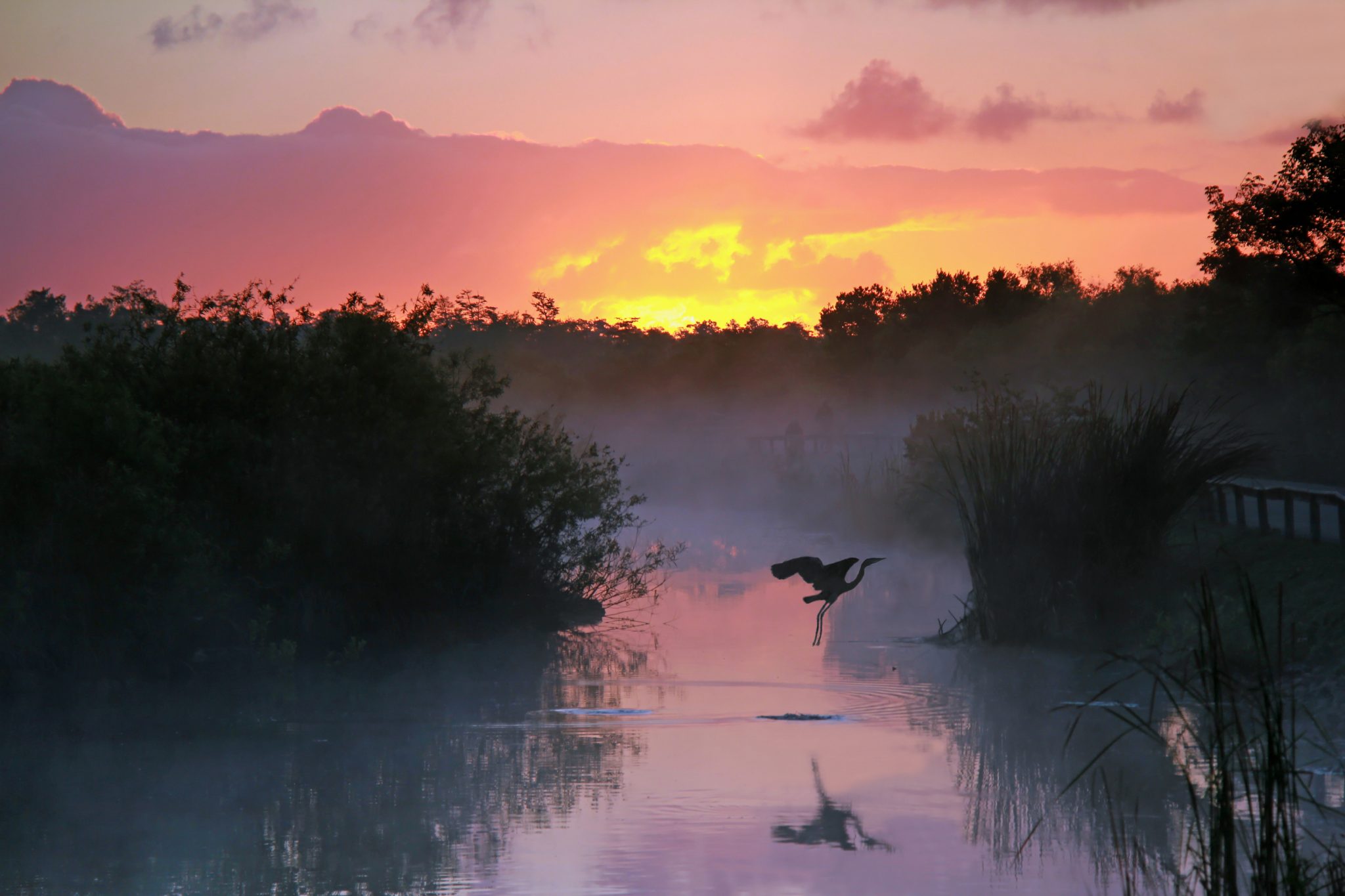 Florida’s National Parks Road Trip