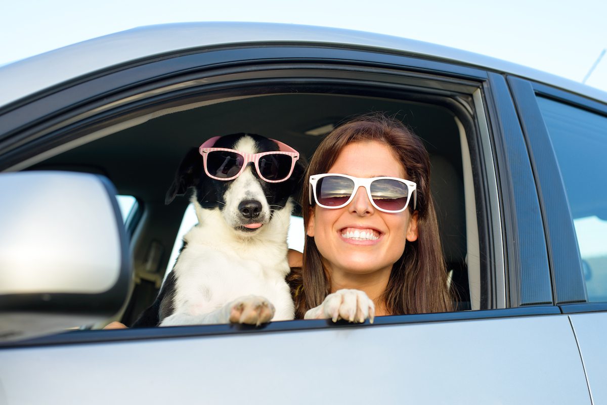 Bringing Your Pet Home