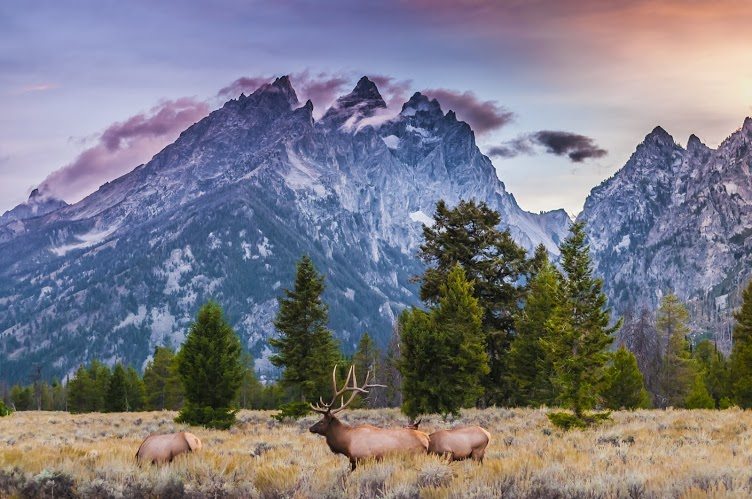 Wyoming Centennial Scenic Byway