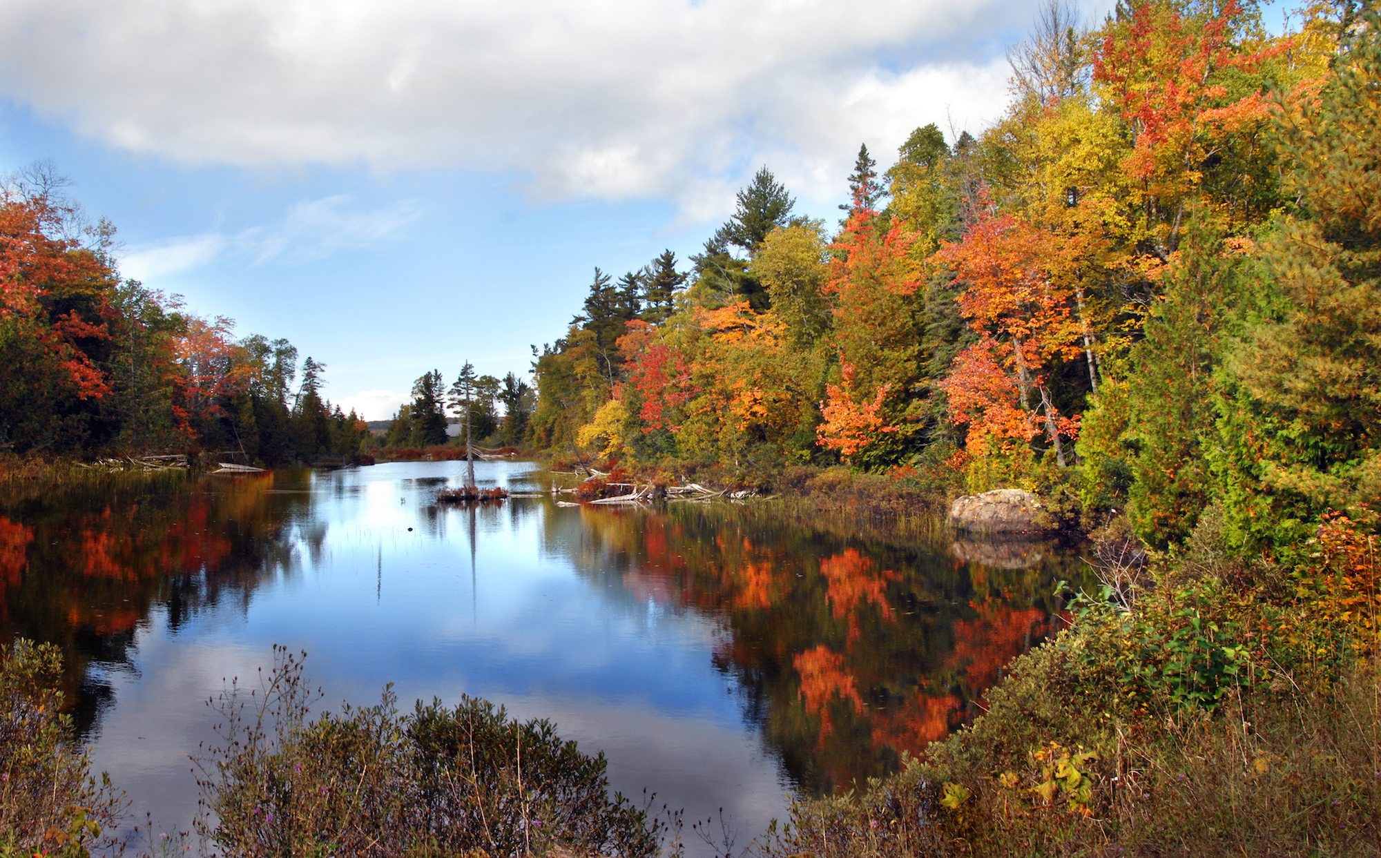 The Upper Peninsula