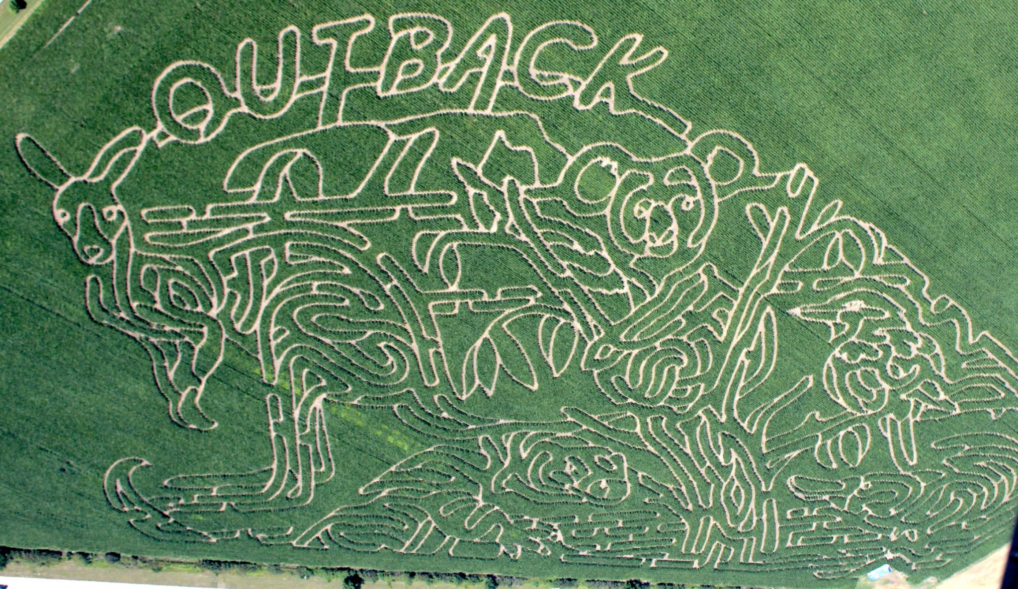 Visit Farmer J’s World Record Corn Maze