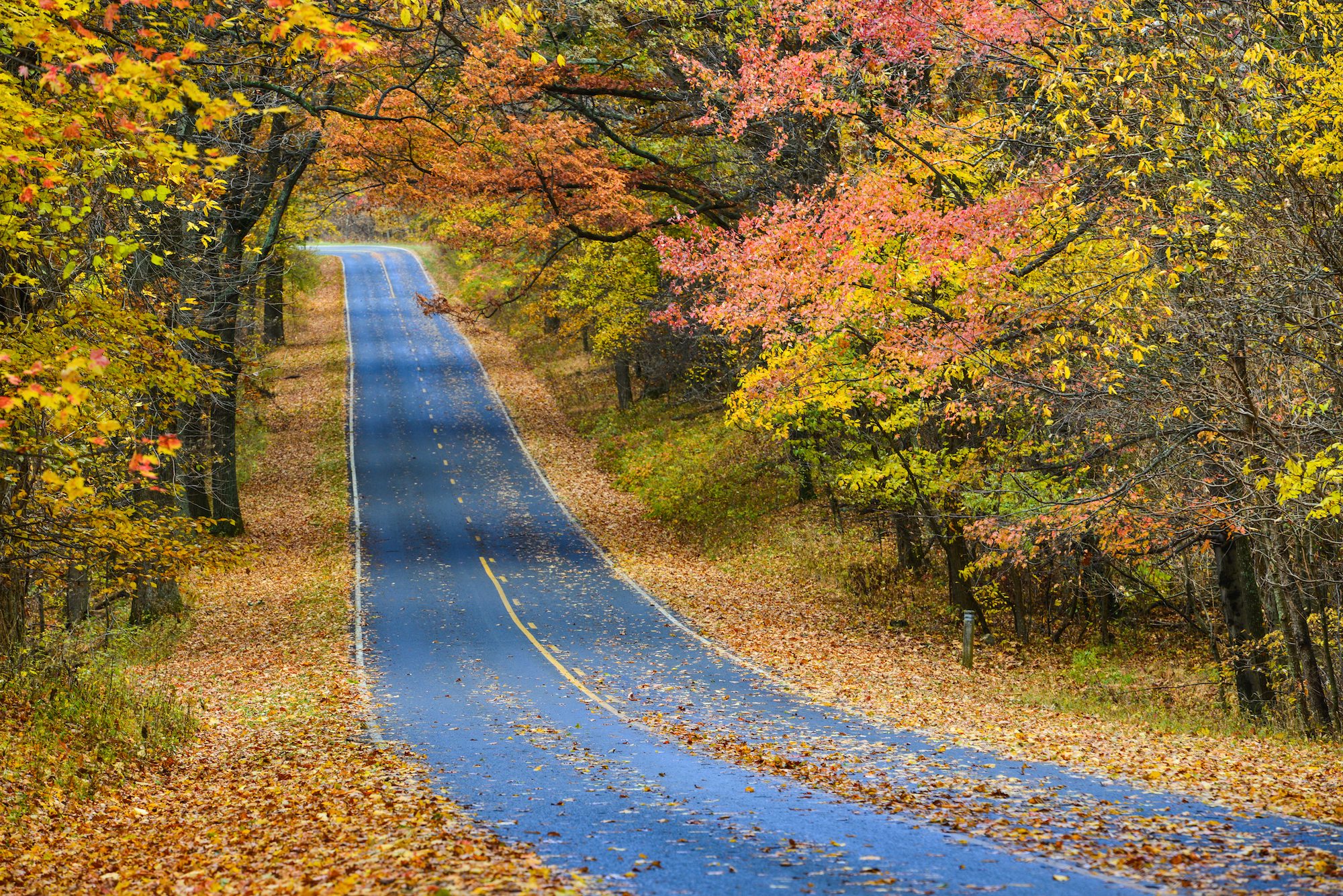 Fall Vacation Planning