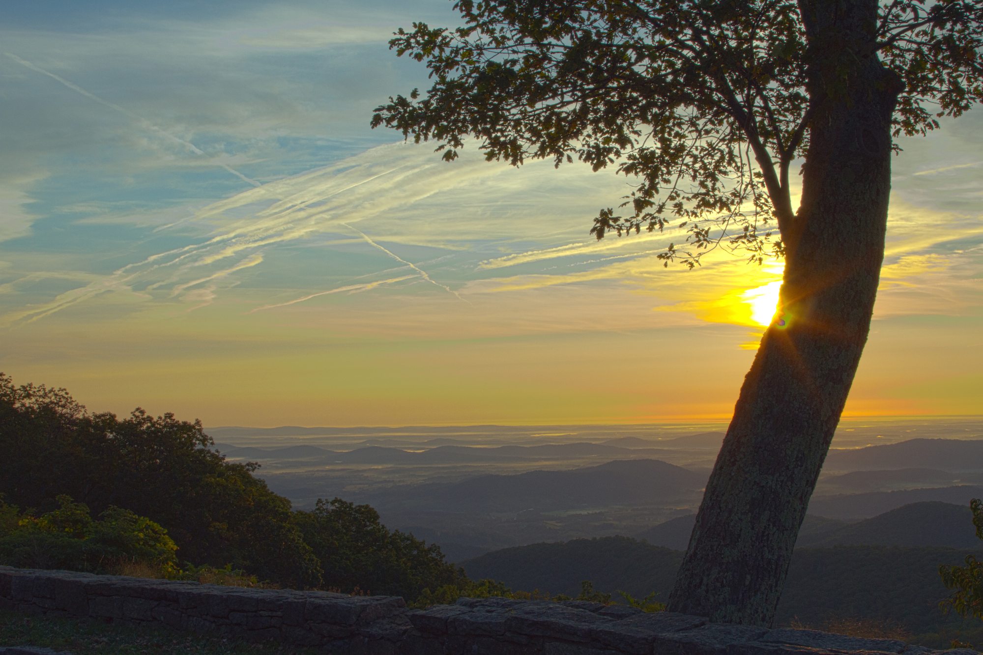 Best National Parks for Picnics