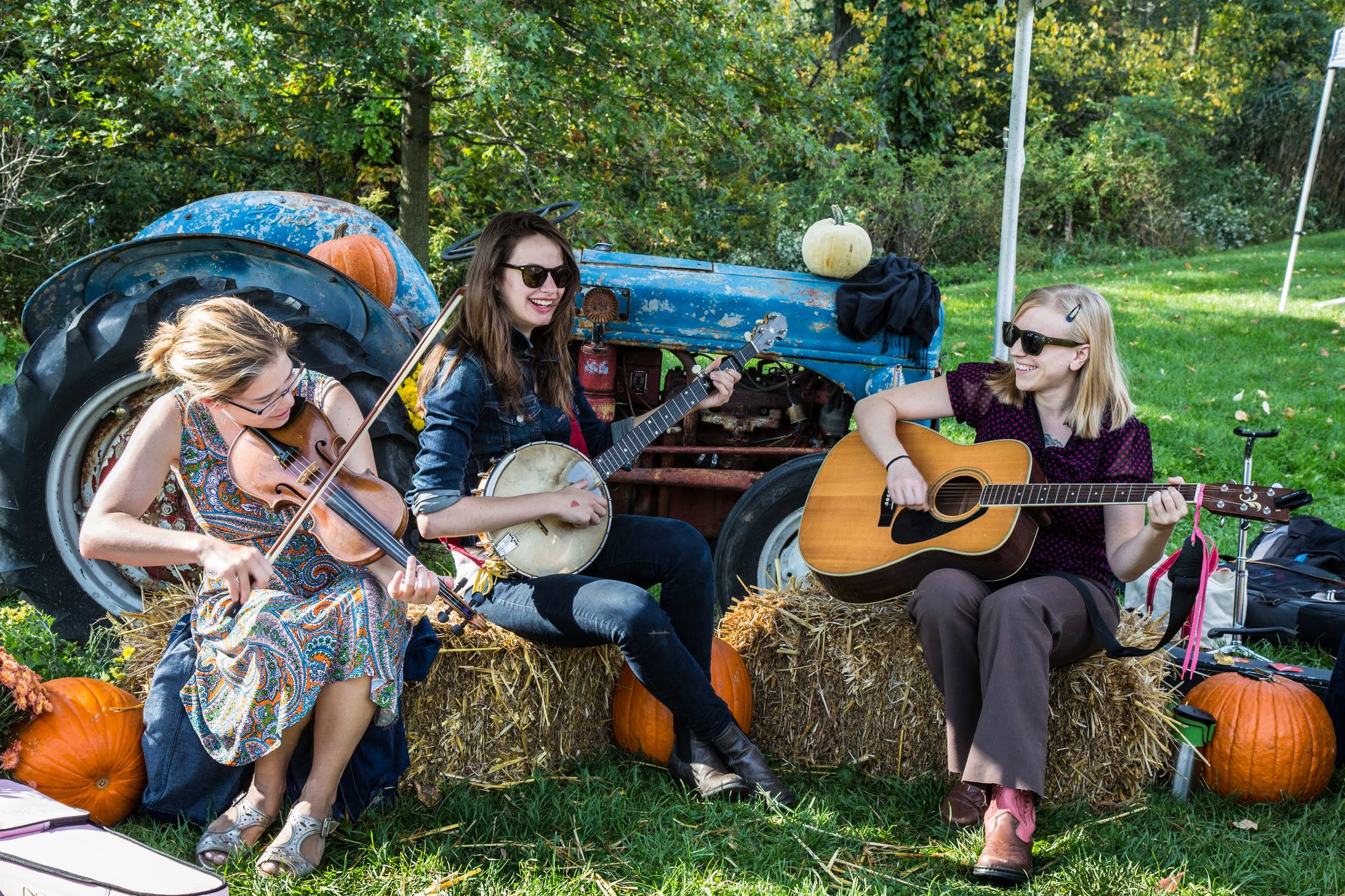 Harvest Festival Round Up