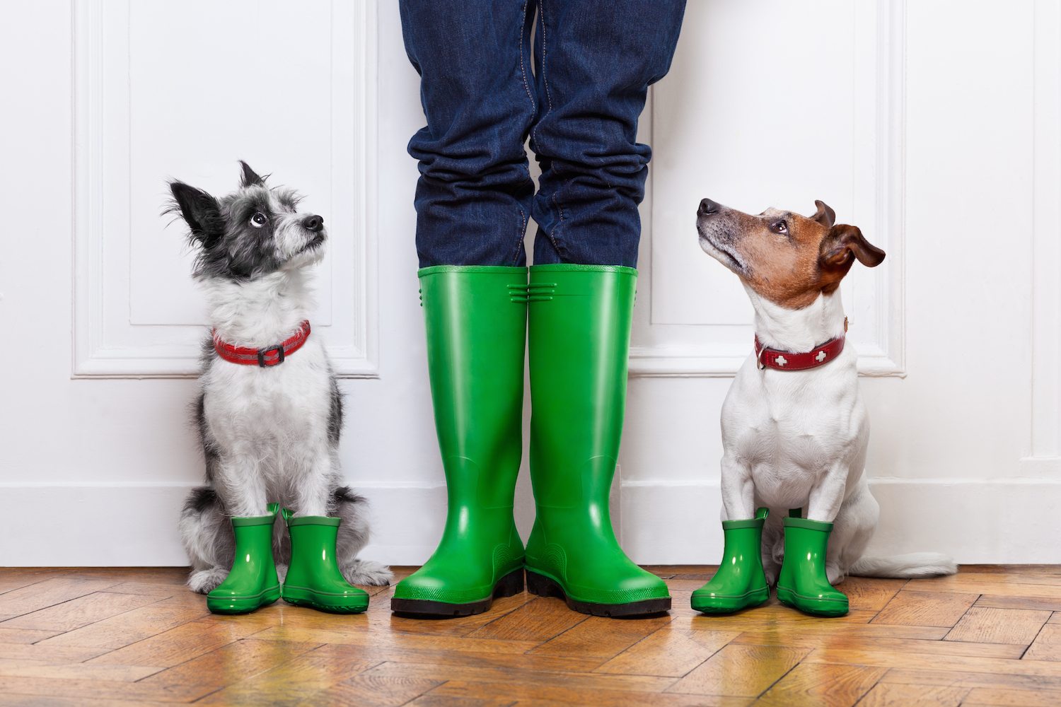 Rainy Day Travel Ideas