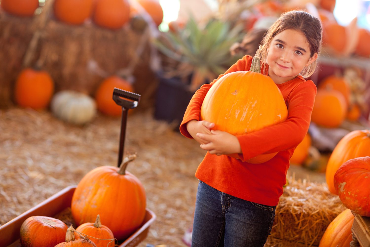 The South’s Favorite (and FREE!) Fall Festivals