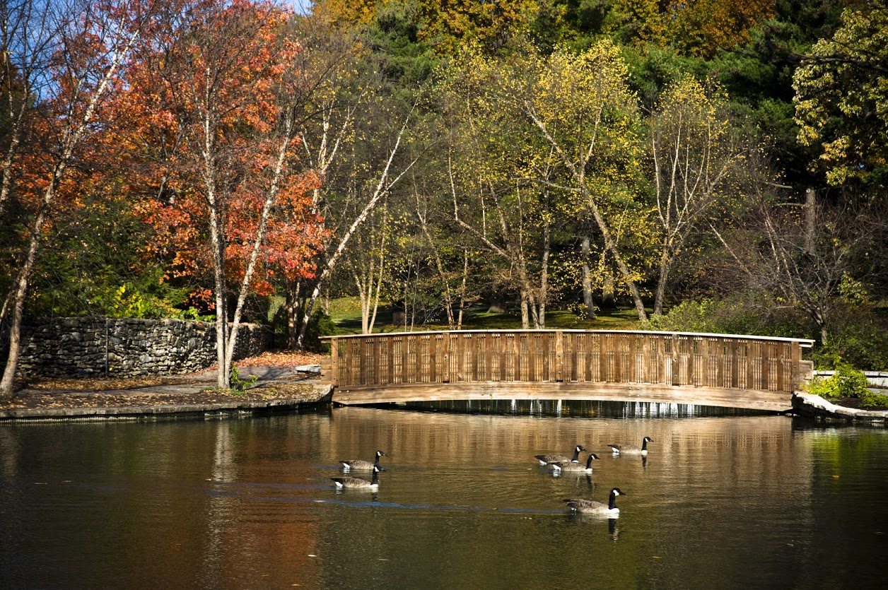Fall Foliage Trackers – Know Where to Go