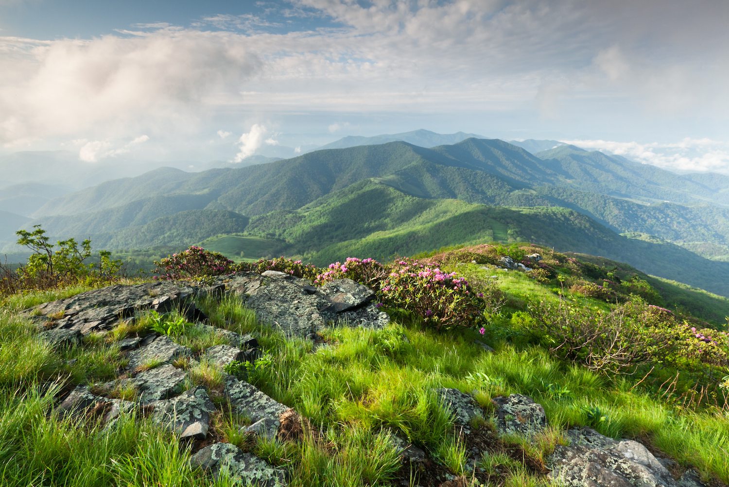 Scenic Drive: Roan Highlands