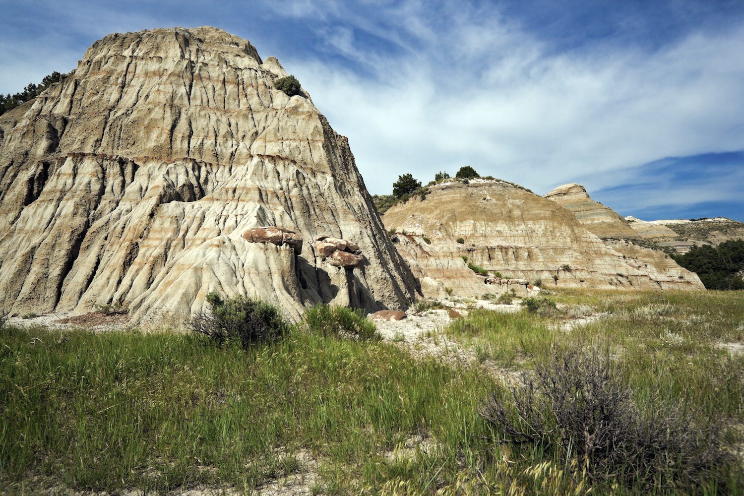 Theodore Roosevelt National Park