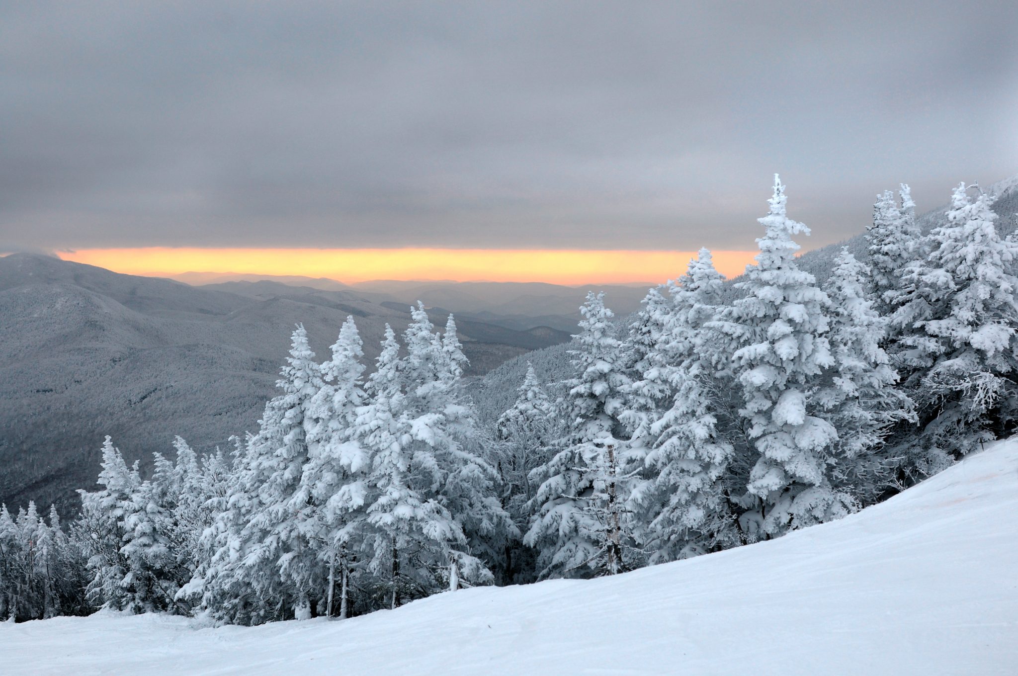 Winter Wonderlands