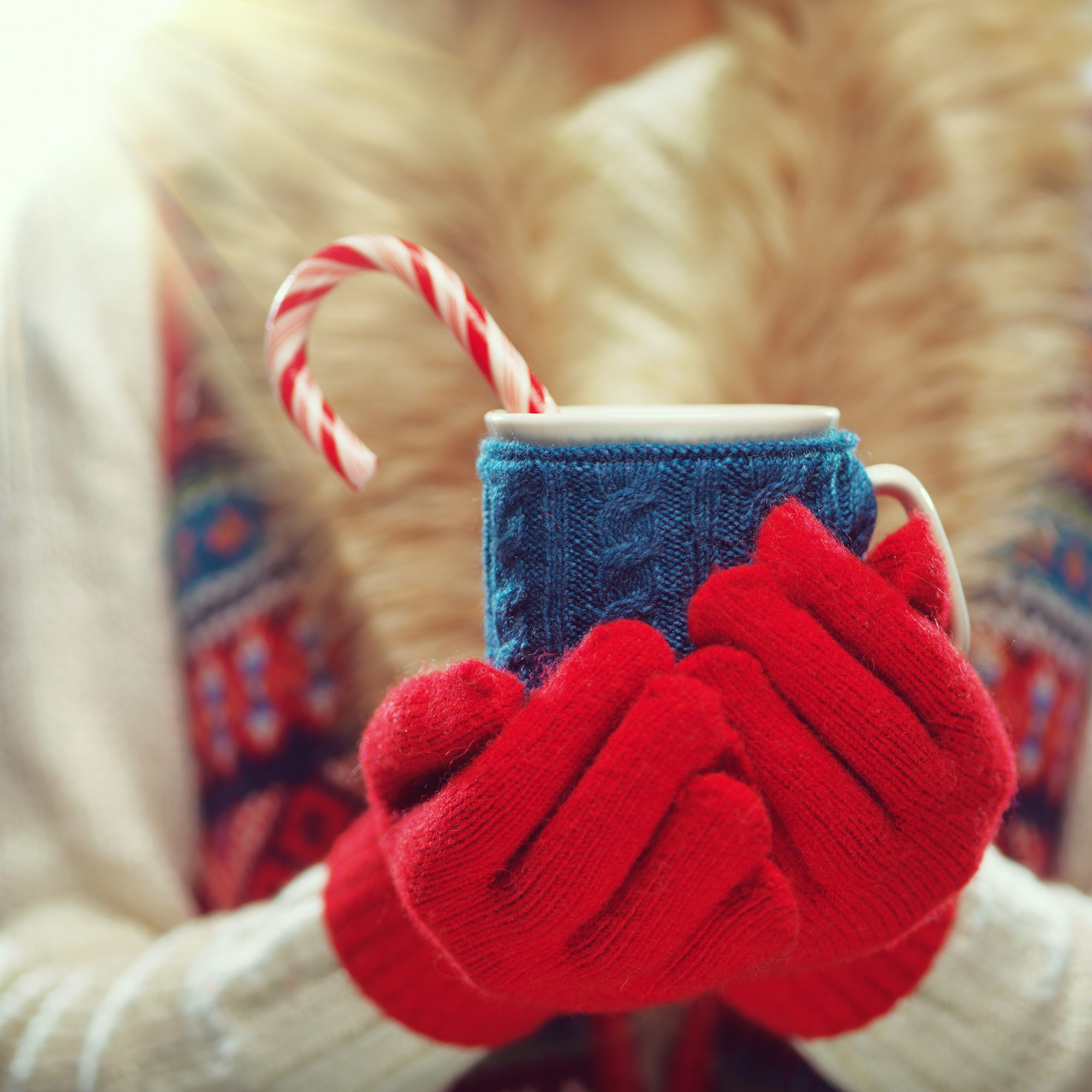 Best Hot Cocoa in the U.S.