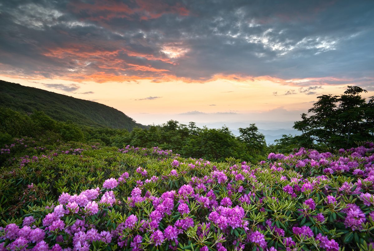 Early Spring Vacation Ideas