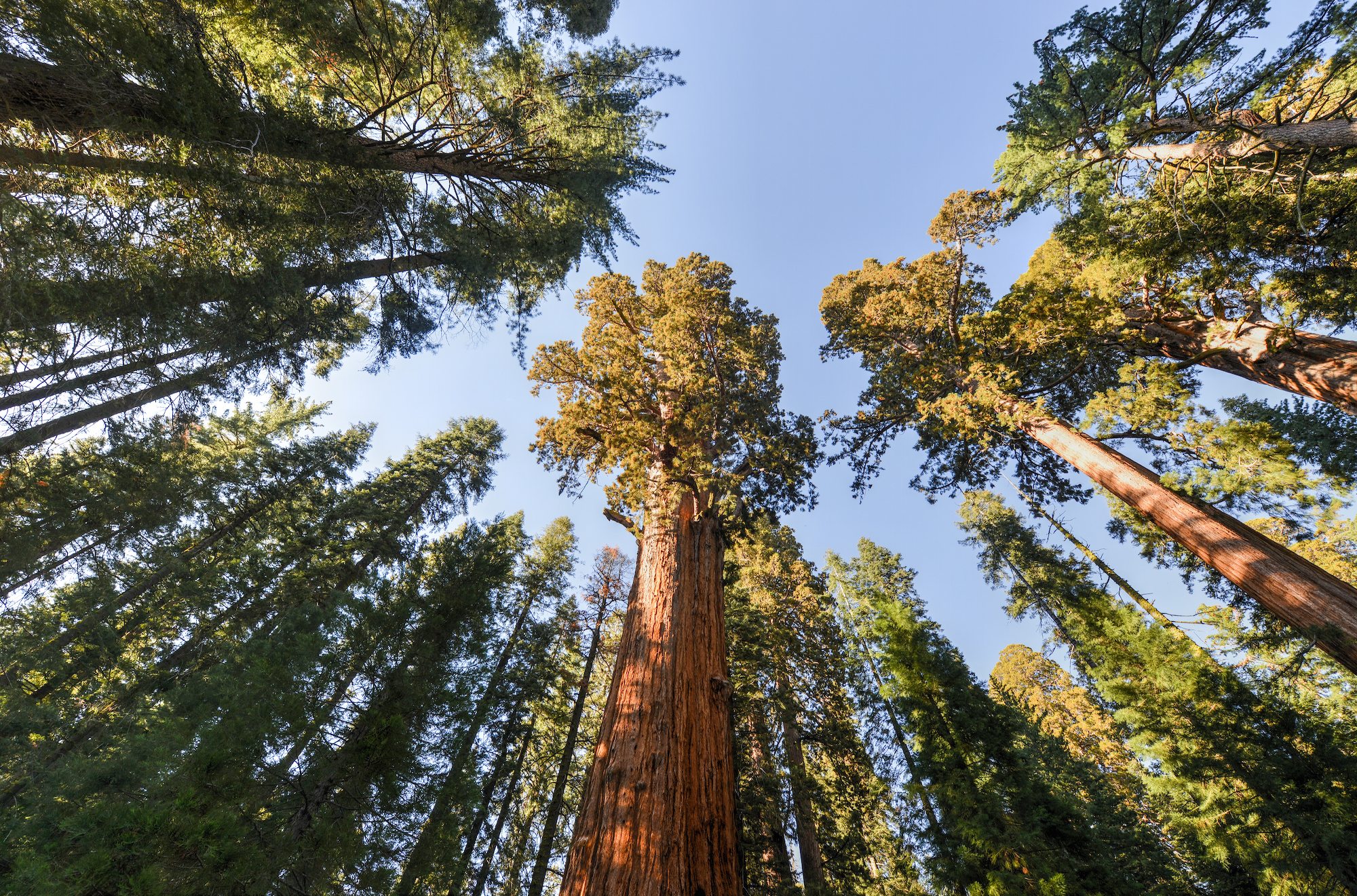 5 Accessible National Parks to Visit