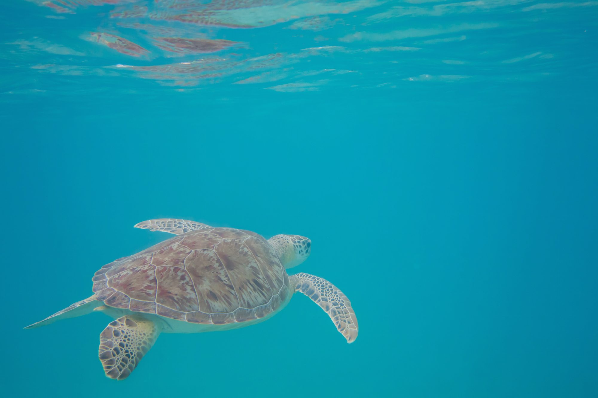 Sun, Scuba and History at US Virgin Islands National Park