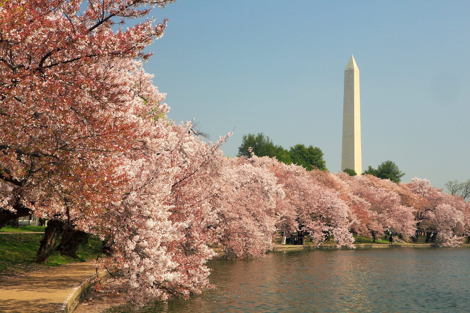 Best Budget Cities to Stretch Your Tax Refund
