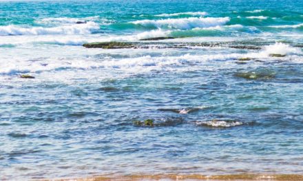 Top 3 Secluded Beaches in Florida for Spring Break