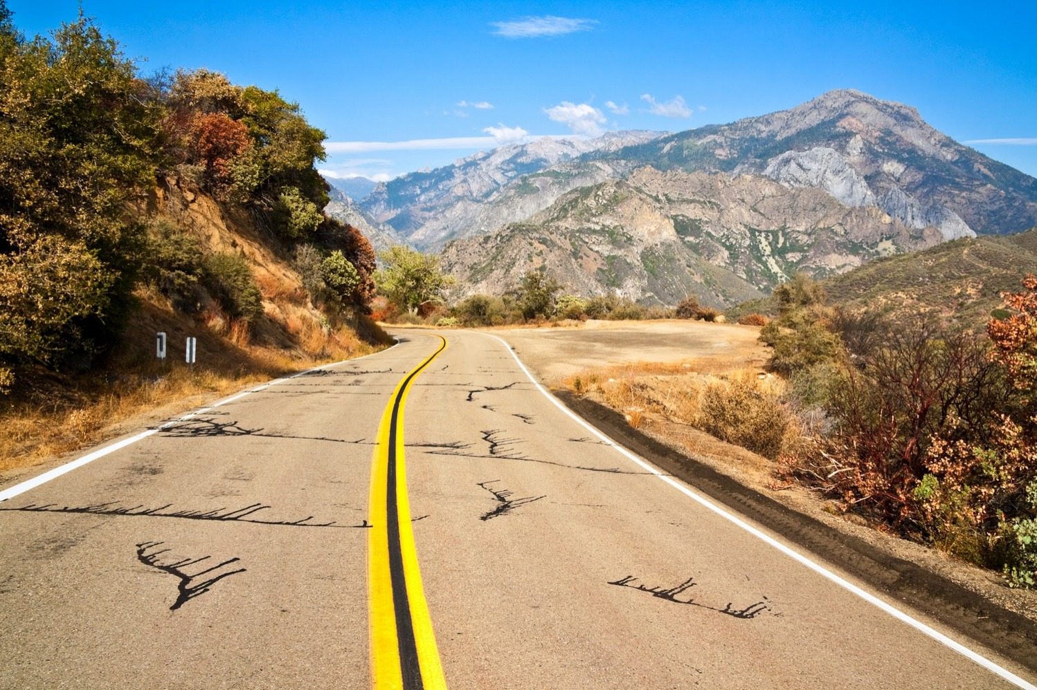 Drive Kings Canyon Scenic Byway