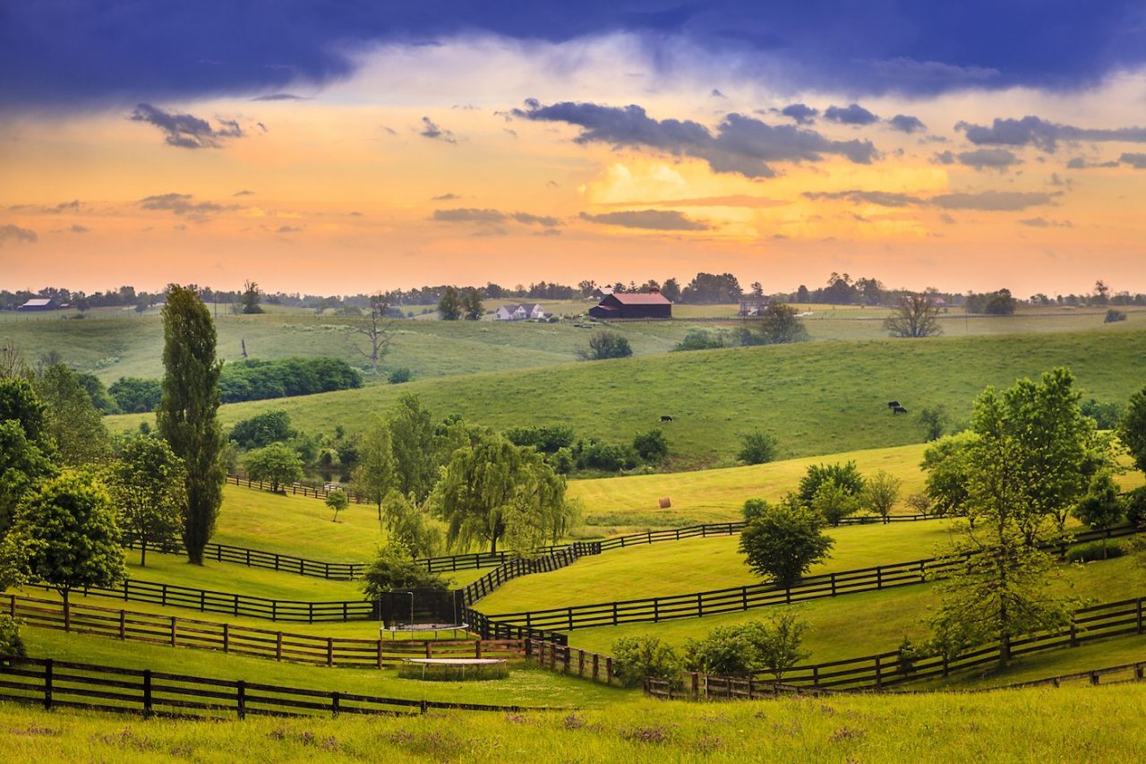 Top 5 Things to Do in Kentucky