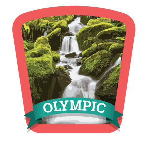 Olympic Badge